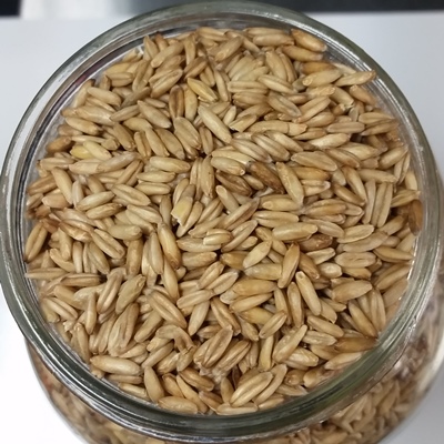 Avoine nue bio - Riz du Québec