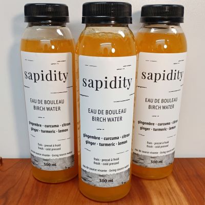 Eau de bouleau gingembre - curcuma - citron