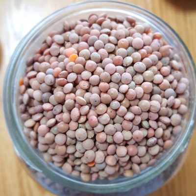 Lentilles brunes biologique