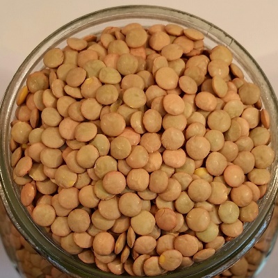 Lentilles vertes biologiques, Canada
