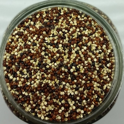 Quinoa trois couleurs biologique