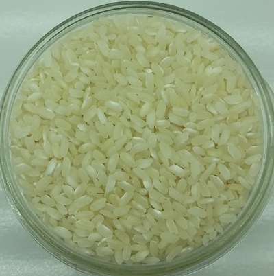 Riz Arborio biologique