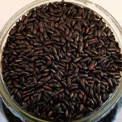 Riz noir ancestral biologique